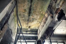 Best Post-Construction Mold Inspection  in Chickasaw, AL